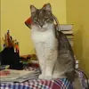 Отзыв от Анна Волошина